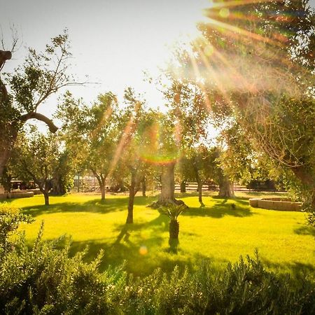 Tenuta Corano นาร์โด ภายนอก รูปภาพ