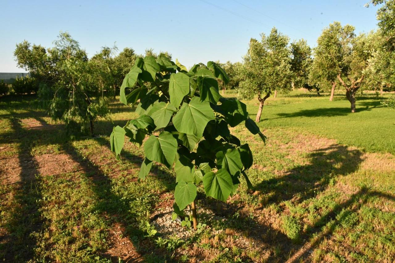 Tenuta Corano นาร์โด ภายนอก รูปภาพ