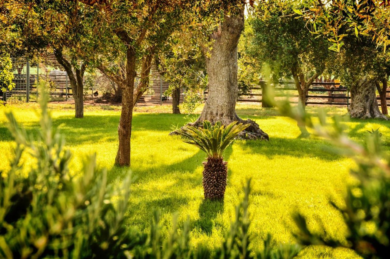 Tenuta Corano นาร์โด ภายนอก รูปภาพ